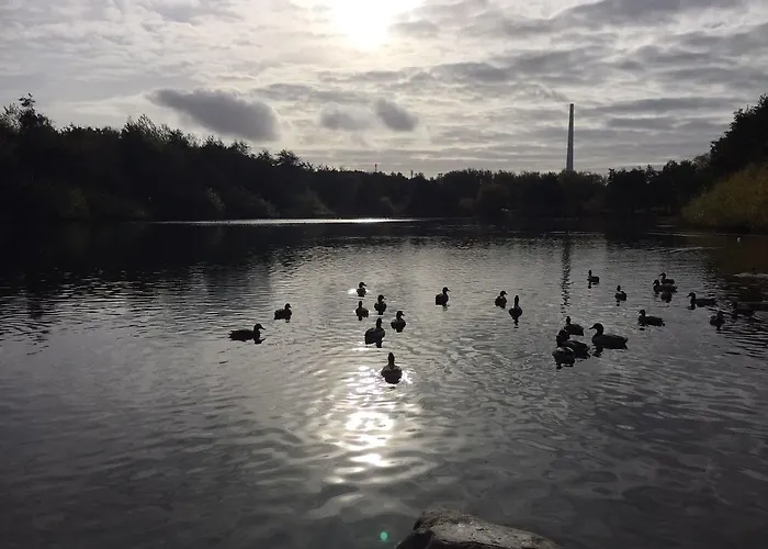 מלון Justsleep אסביירג