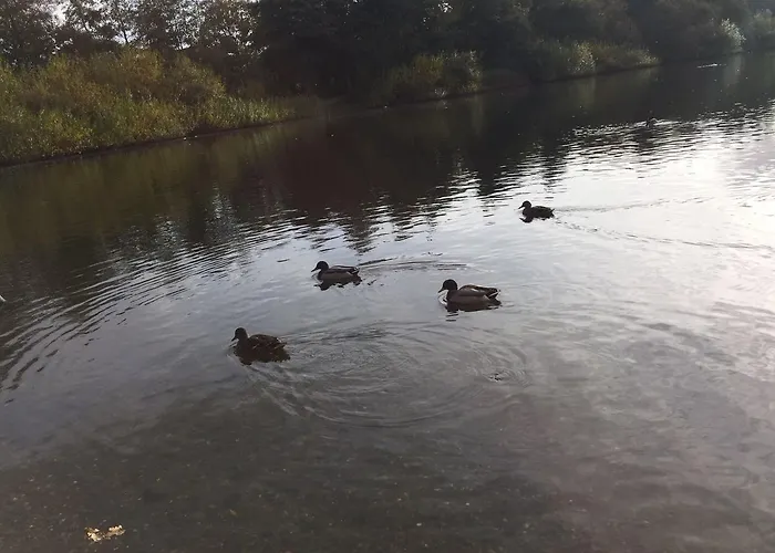 Justsleep אסביירג